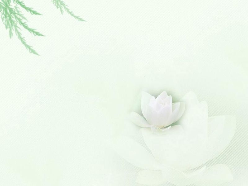 【免费】柠檬小店·专抠图,制作ui,封面,换色,去掉水印