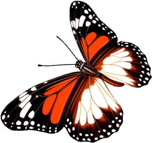 【梦子出品】素材杂货铺|每日必发素材√